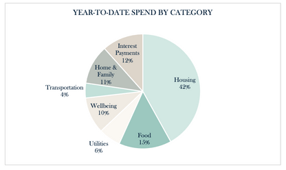 FREE Annual Summary of Expenses Template
